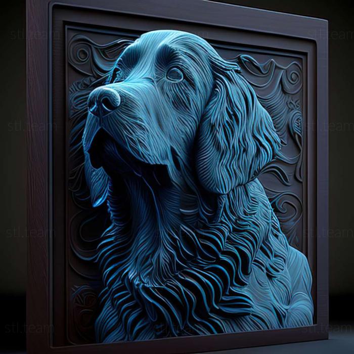 Animals Blue Picardy Spaniel dog